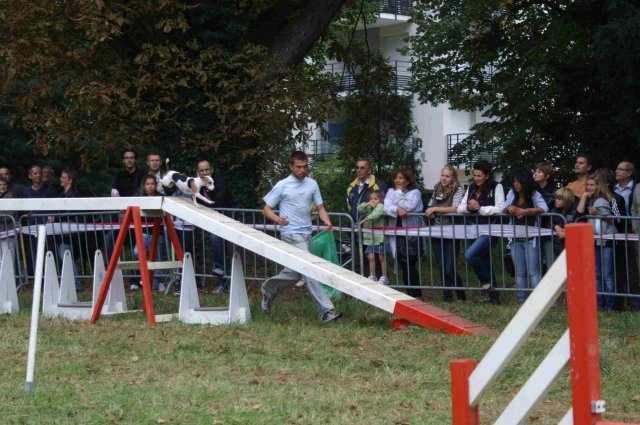 foire-haricots 2011-09-17et18